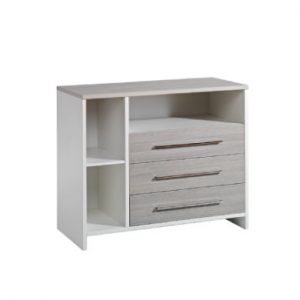 pflanze glückskastanie Pachira aquatica - Glückskastanie Ø:21 H:80 cm - Pflanzen sicher zu dir  nach Hause main image 1